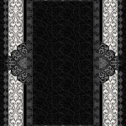 A16_8344A_Z9666